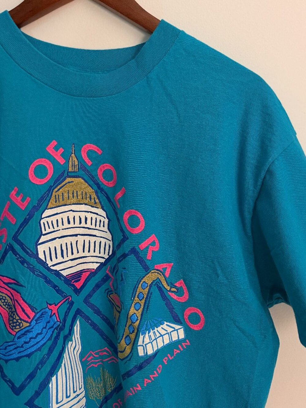 Vintage 90s "A Taste of Colorado" Festival Single Stitch T-Shirt, Size XL